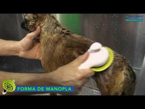 Artero SPA Shower - shower head for pet bathing with massage function.