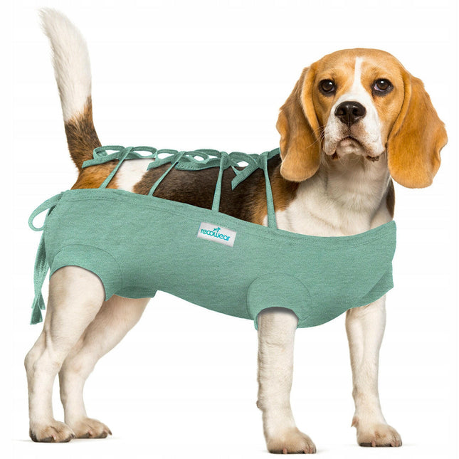 Recowear postoperative outfit for dogs and cats.