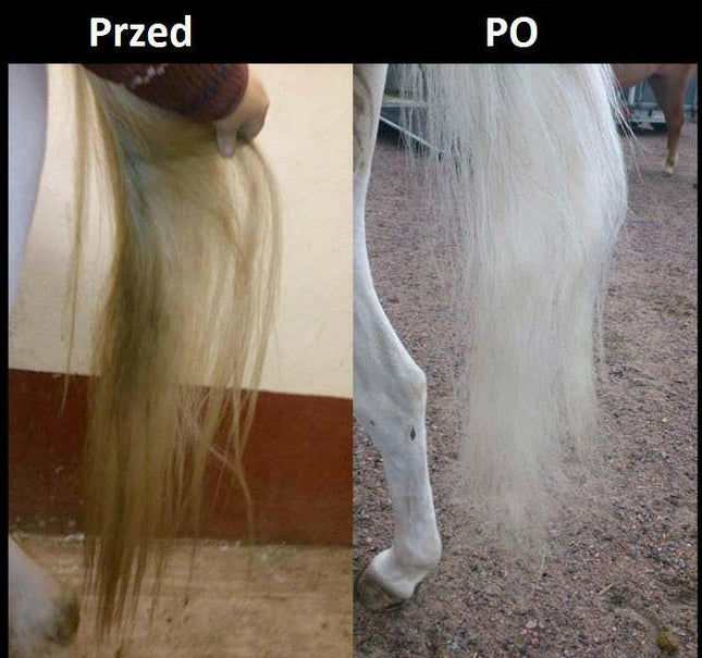 K9 Horse Sterling Silver Shampoo - shampoo for white and silver horse coats, concentrate 1:10.