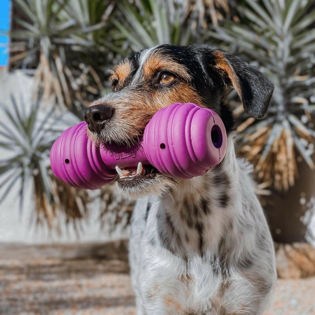 PetSafe Busy Buddy Chuckle - treat-dispensing chew toy for dogs, in the shape of a dumbbell.