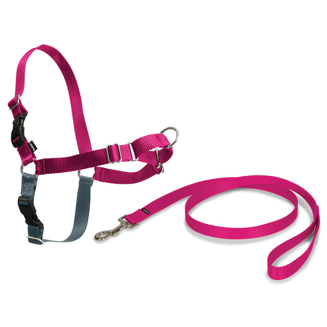 PetSafe Easy Walk Harness Raspberry - dog harness and leash set.