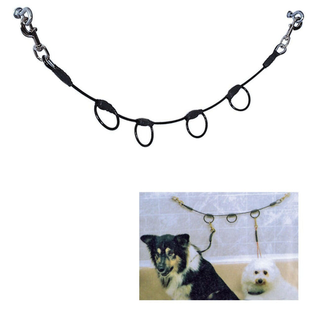 Blovi - horizontal leash for multiple dogs.