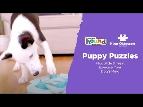 Nina Ottosson Puppy Smart Level - easy interactive game for puppies, level.