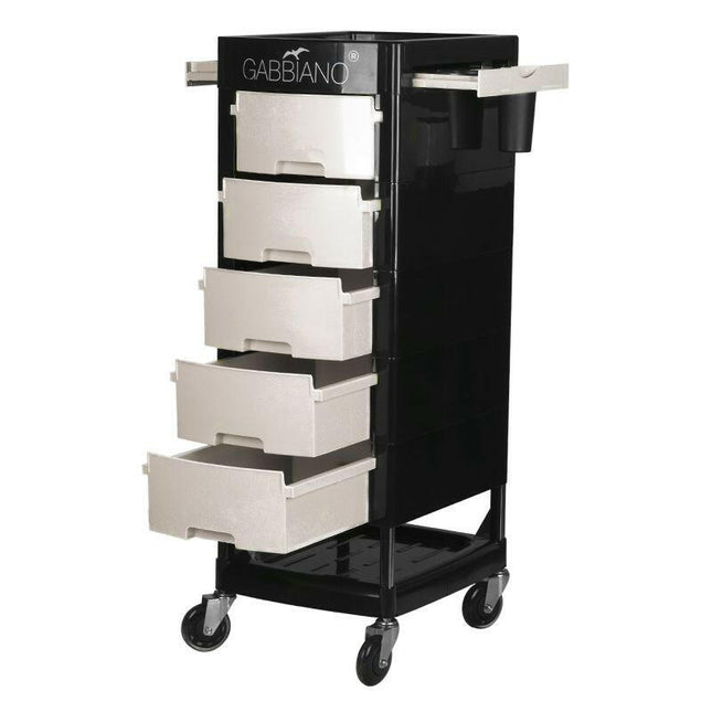 Gabbiano FT65 - Grooming cabinet on wheels 30x40x92, with drawers, plastic assistant.