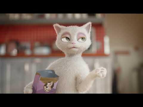 Kitty Cat Filet in Pâté Chicken - pouch for cats, with chicken, filet in pâté.