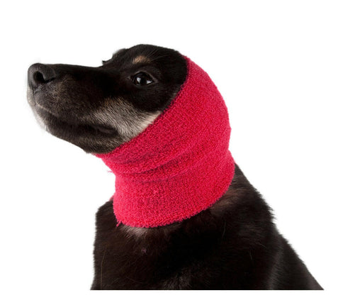 Show Tech Ear Buddy S - ear band for drying timid dogs.