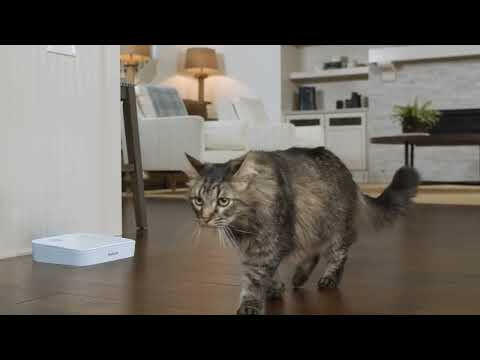 PetSafe Automatic Meal Pet Feeder - food dispenser for cats, small and medium dogs, dual chamber.
