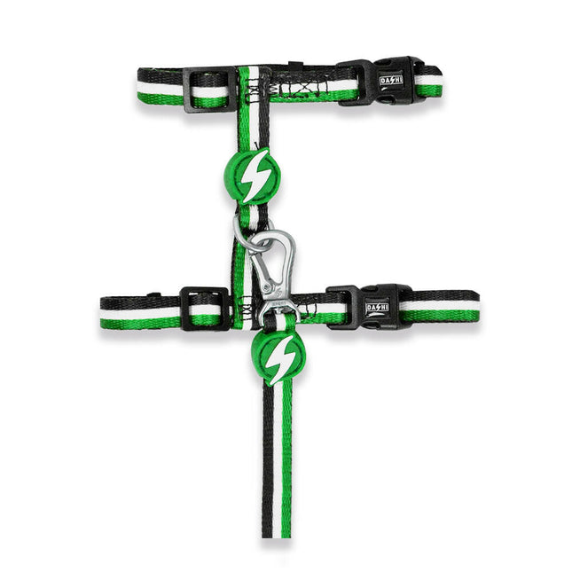 Dashi Stripes Green & Black Cat Harness + Leash - harness and leash for cats, set, green and black stripes.