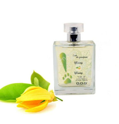 Dog Generation Ylang Ylang - perfume for dogs with a pleasant floral scent.