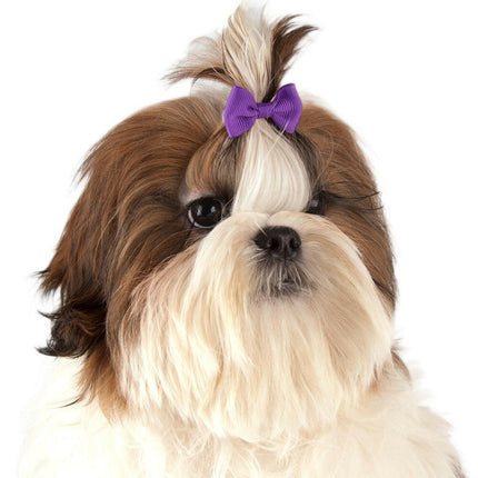 Show Tech Multicolor Bows 50 pcs - colorful bows on elastic bands for dogs.
