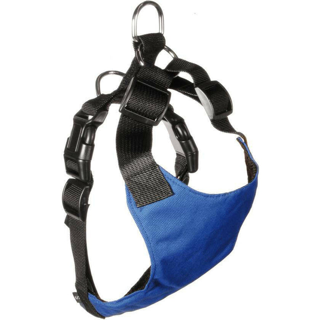 Record Harness - car harness for dogs.