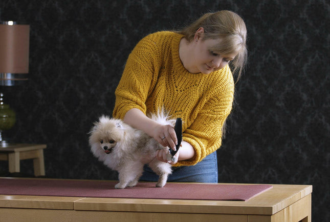 Moser Prima Black - handy, cordless finishing clipper, black.