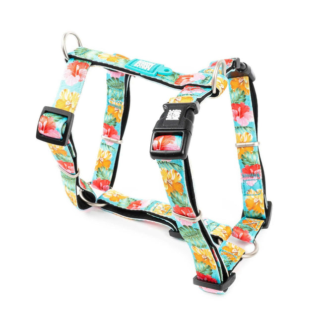 Max&Molly H - Exotique Harness - colorful harness for dogs and puppies, adjustable.