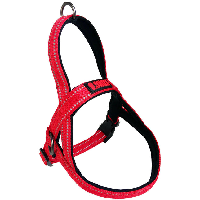 KONG Norwegian Harness - padded Norwegian harness for dogs.