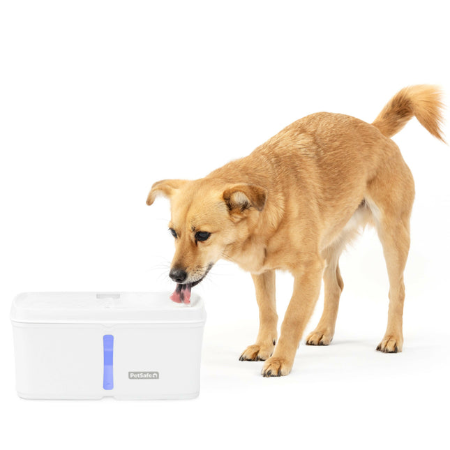 PetSafe Viva Pet Fountain - fountain for cats and dogs, with illuminated water level indicator.
