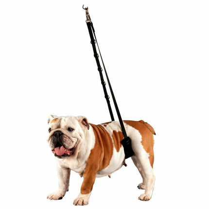 Show Tech Comfort Bellyband Small - comfortable rear support band.