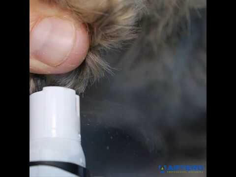 Artero Lima Electric Nail File - electric nail file for dogs and cats.