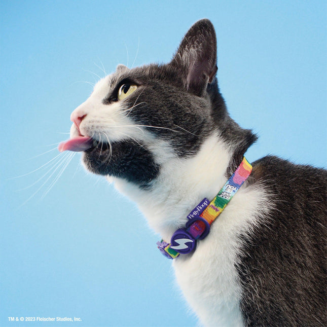 Dashi Betty You Cat Collar - cat collar, Betty Boop pattern, multicolored.