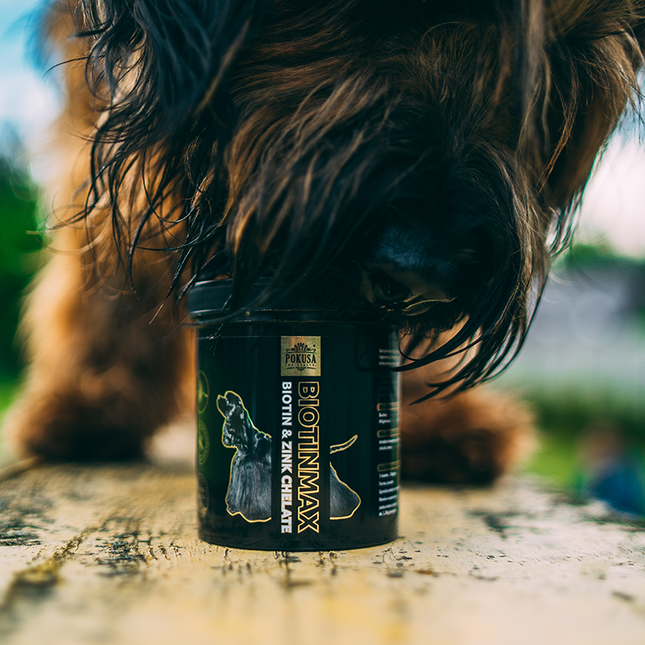 Pokusa DiamondCoat Biotin Max - dietary supplement improving the condition of your dog's skin and coat.