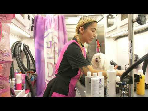 Les Poochs Mat Zapper - original, flexible brush for dogs, very stiff (for tangles).