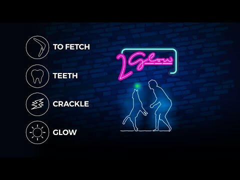 2 Glow Bite Right Tonight - glowing toy for dogs, fluorescent fetching ring.