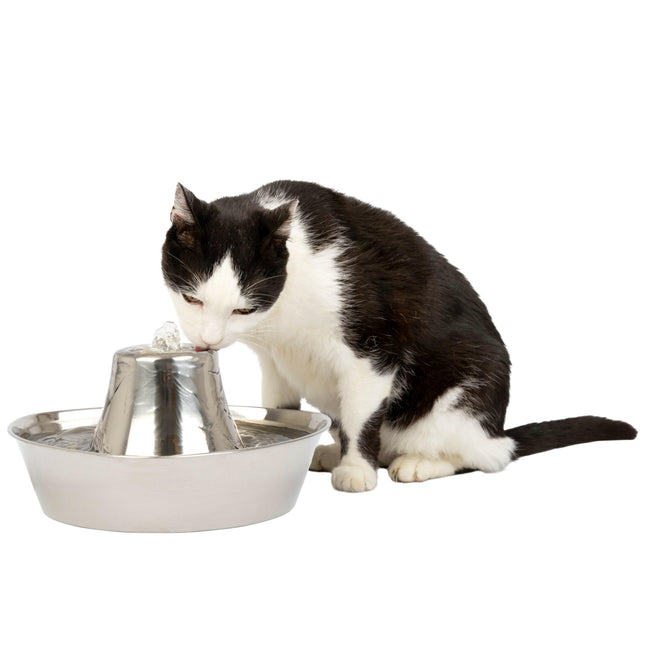 PetSafe Seaside Stainless Pet Fountain 1.8L - fountain for cats and dogs, made of stainless steel.