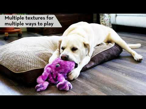 KONG SoftSeas Crab - plush toy for dogs, crab with squeaker.