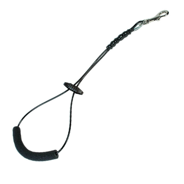 Chadog strong, steel grooming leash.
