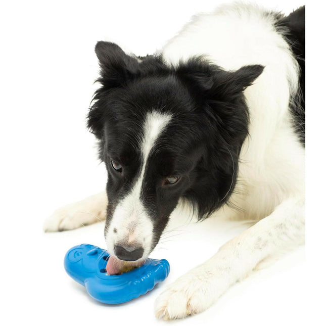 PetSafe Busy Buddy Chilly Penguin - chew toy for frozen treats for dogs, penguin.