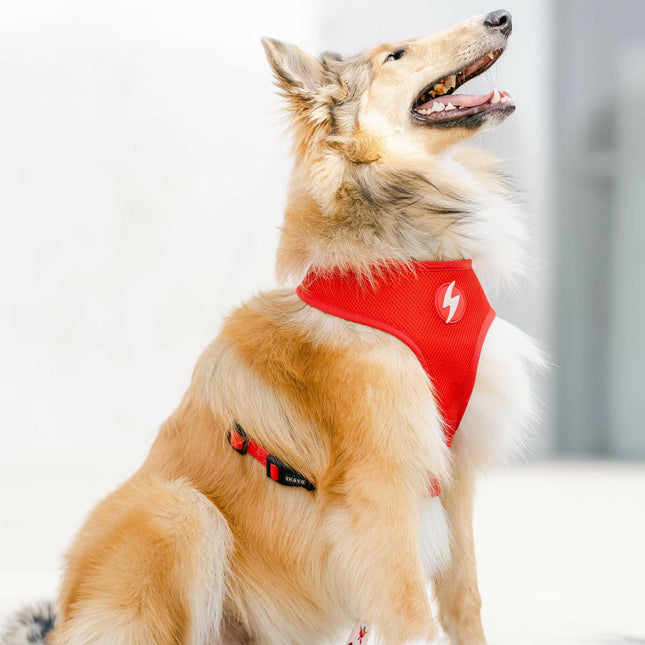 Dashi Tribes Neo Mesh Harness - non-choking, reversible dog harness made of neoprene, featuring a design with warrior creatures.