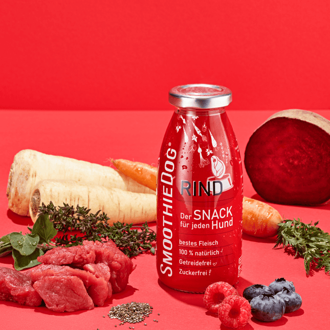 SmoothieDog Beef - dog smoothie, beef with vegetables.