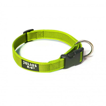 Julius K9 Color & Gray Collar - durable collar for dogs.