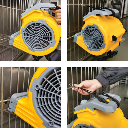 Aeolus Pet Cage Dryer TD - 903 300W - professional, portable cage dryer.