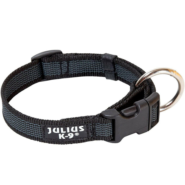 Julius K9 Color & Grey Collar - durable collar for dogs.