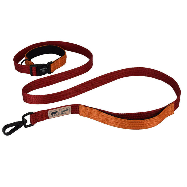 Hamilton Go Boldly Get Out & GO Leash 25mm - adjustable length nylon leash.