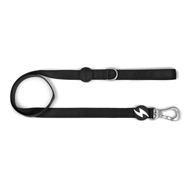 Dashi Solid Leash Black 120cm - urban dog leash, nylon, black.