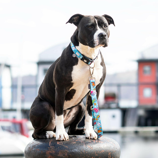 Max & Molly GOTCHA! Smart ID Ocean Collar - collar with smart Tag pendant for dogs.