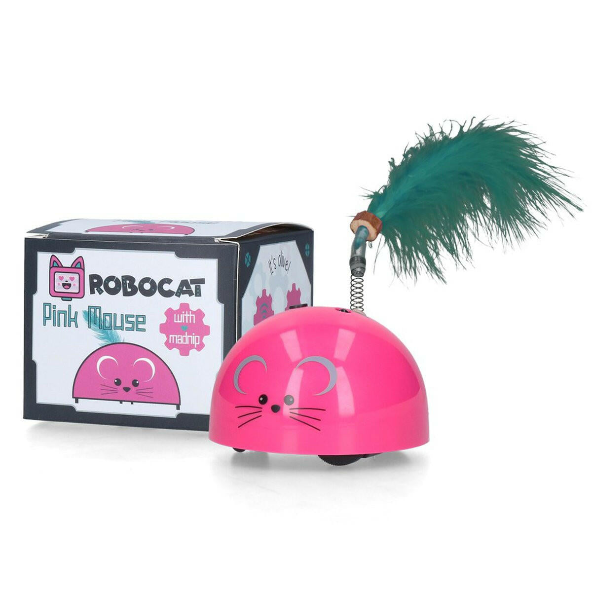 Robocat App Interface