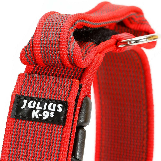 Julius K9 Color & Gray Collar with Handle - dog collar with handle and safety lock.