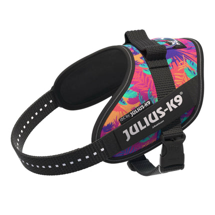 Julius - K9 IDC Powerharness Vibe - dog harness with reflective features, palm pattern.
