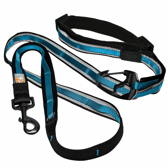 Kurgo Quantum Leash - adjustable dog leash with a soft grip and bottle opener.