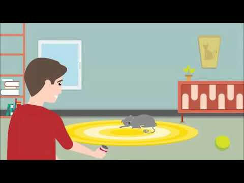 Relaxopet Animal Relaxation Trainer Pro for Cats - relaxing, calming device for cats.
