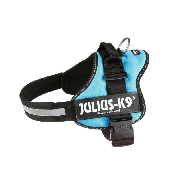 Julius K9 Powerharness Aquamarine - harness for dogs.
