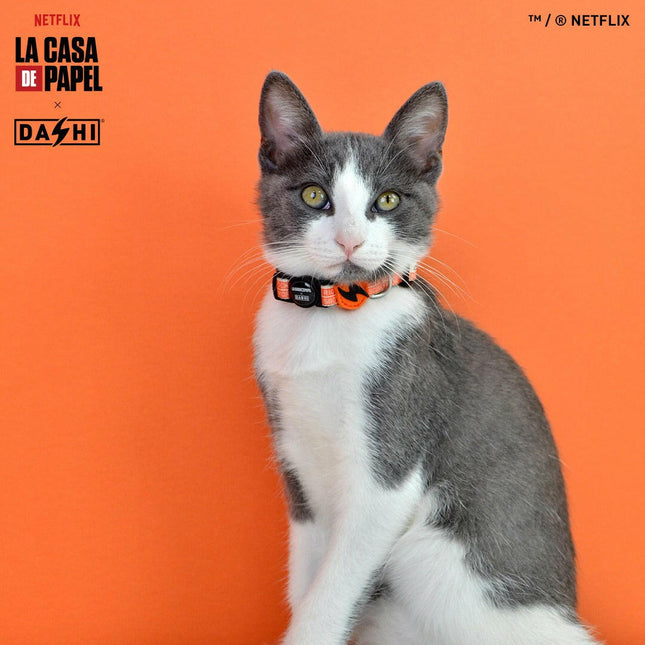 Dashi La Casa De Papel Jarana Cat Collar - cat collar, inspired by the series Money Heist, beige.
