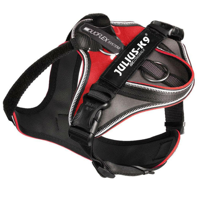 Julius K9 ICD Longwalk Harness - trekking harness for dogs.