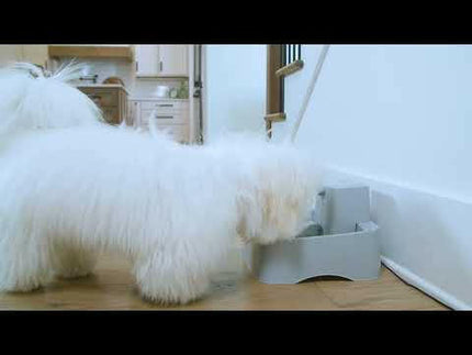 PetSafe Drinkwell Pet Fountain - fountain for dogs and cats.