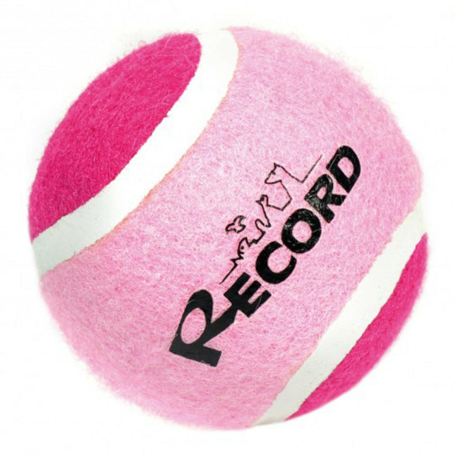Record Dog's Tennis Ball - tennis ball for dogs.