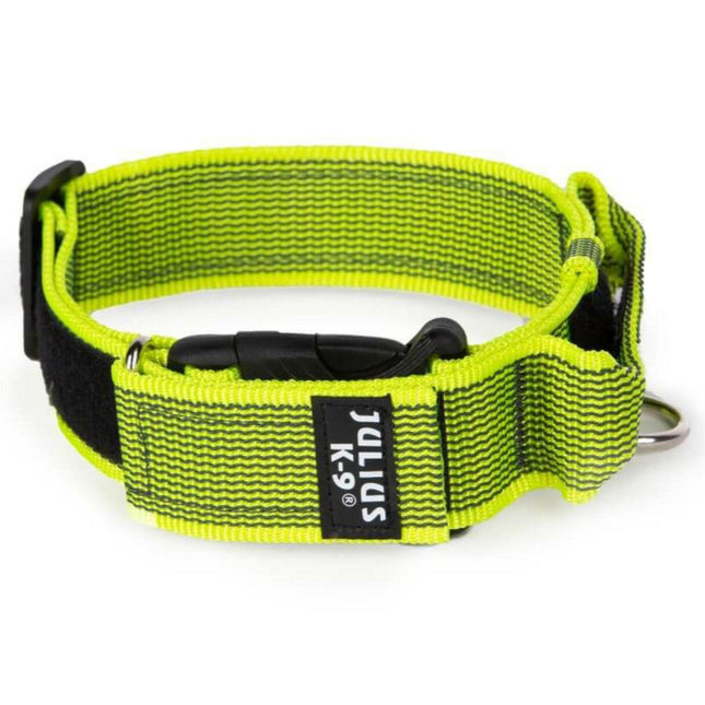 Julius K9 Color&Gray Collar with Handle - dog collar with handle and safety lock.