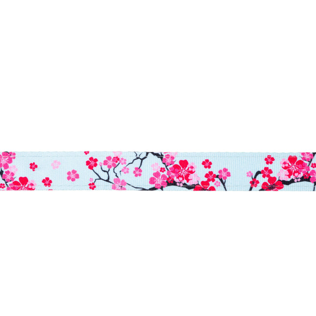 Max&Molly GOTCHA! Smart ID Cat Collar Cherry Bloom - colorful collar for cats with a smart Tag pendant.