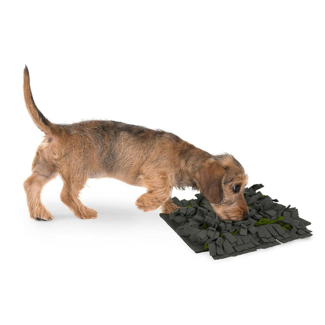 Flamingo Amigo Sniffing Carpet grey/green - rectangular sniffing mat for dogs - 30 - 40cm.